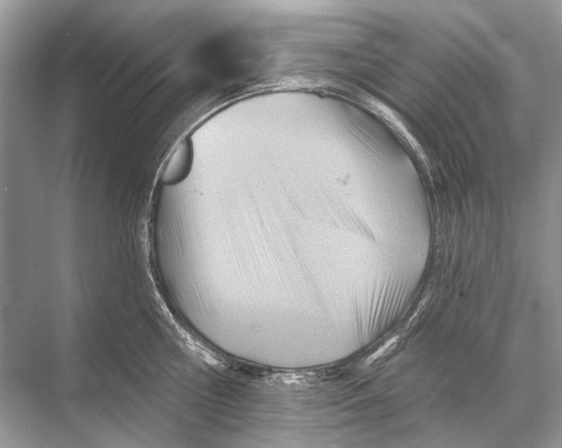 X0000067840810200605041648