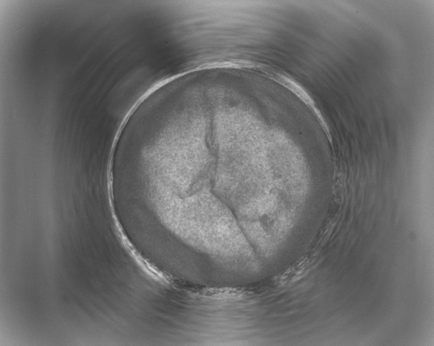 X0000067840811200605041648