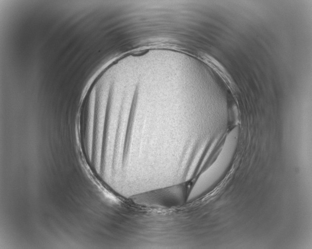 X0000067840812200605041648