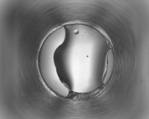 X0000067840813200605041648