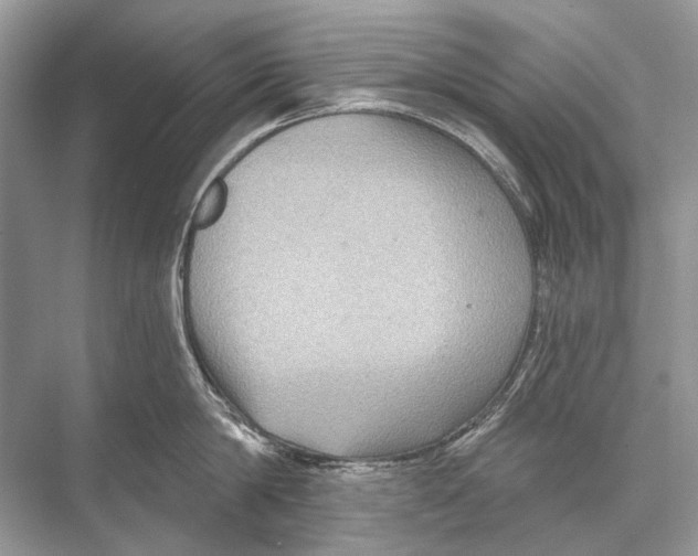 X0000067840814200605041648