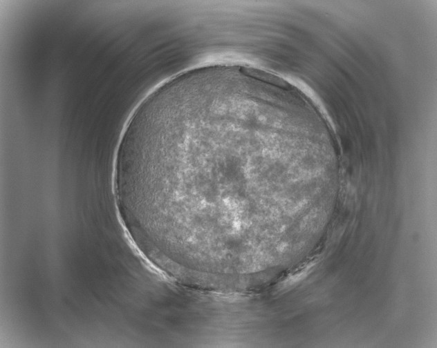 X0000067840815200605041648