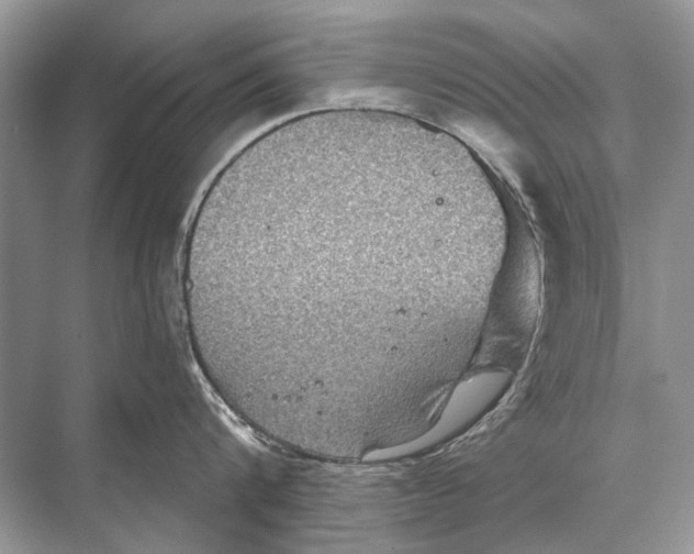 X0000067840816200605041648