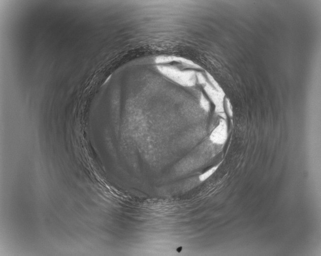 X0000067840817200605041647