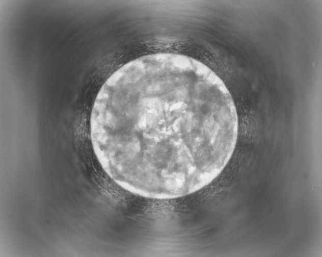 X0000067840820200605041647