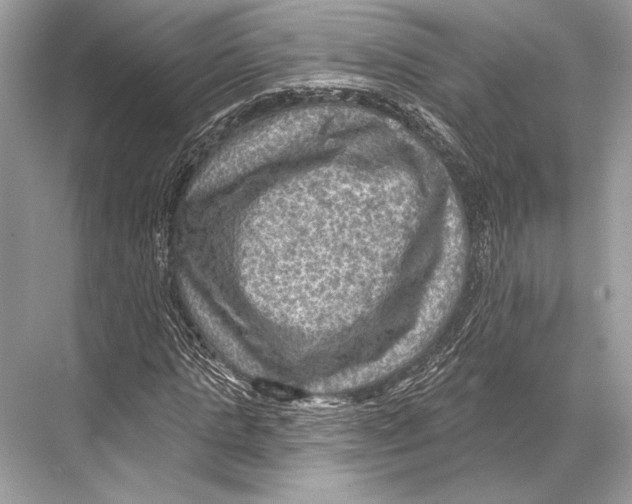 X0000067840821200605041647