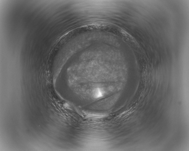 X0000067840822200605041647