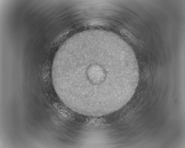 X0000067840824200605041647