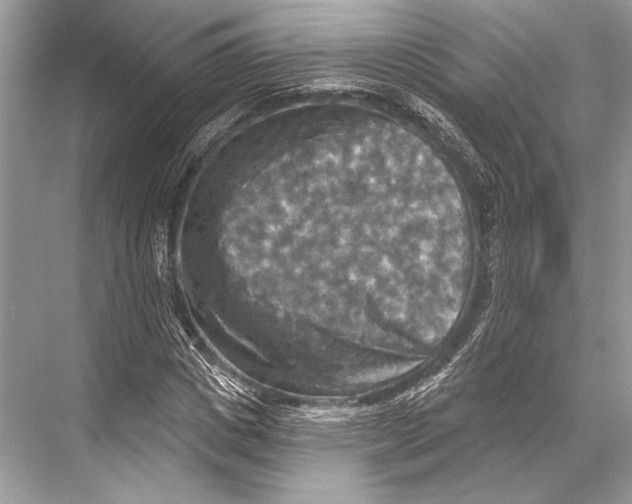 X0000067840825200605041647