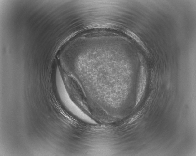 X0000067840826200605041647