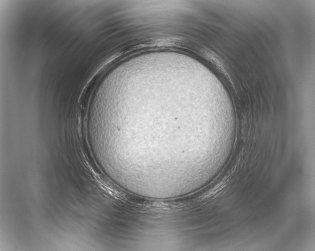 X0000067840827200605041647