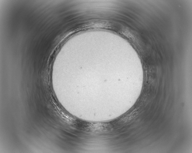 X0000067840828200605041647