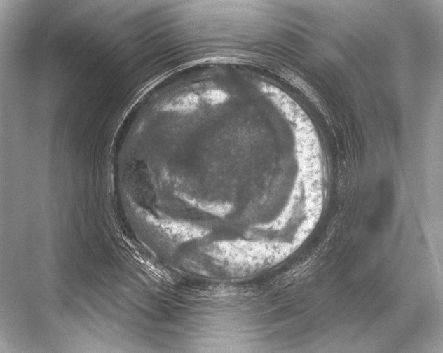 X0000067840829200605041647