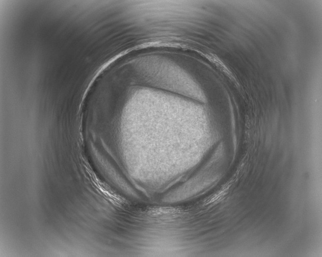 X0000067840830200605041647