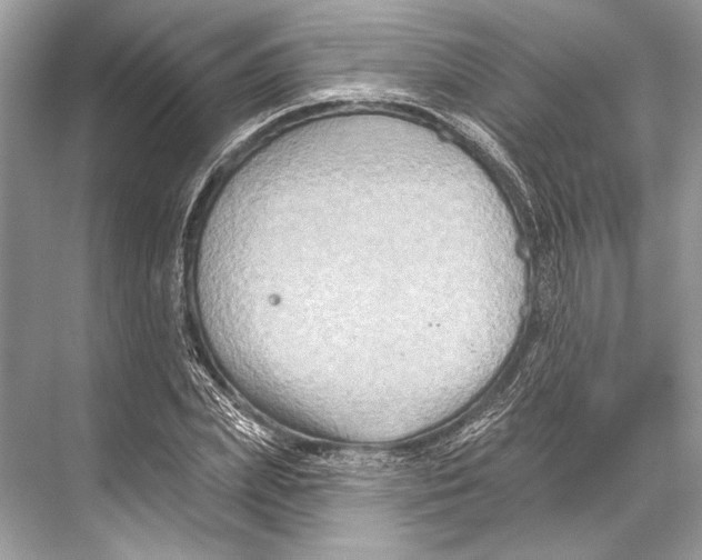 X0000067840831200605041647