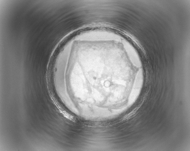 X0000067840832200605041647