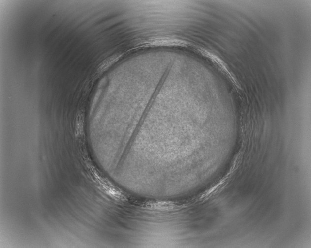 X0000067840833200605041647