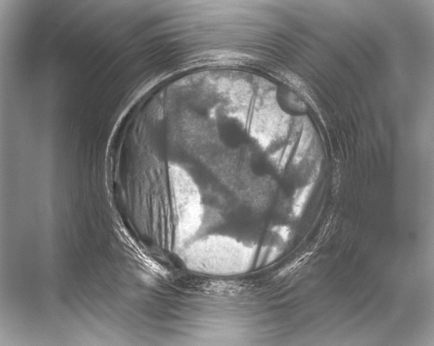 X0000067840835200605041647