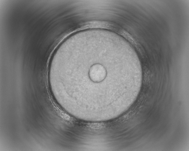 X0000067840836200605041647