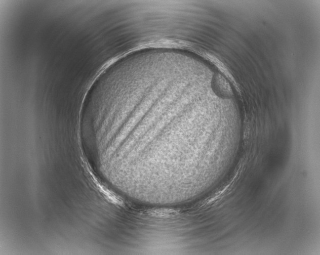 X0000067840837200605041647