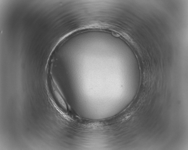 X0000067840838200605041647