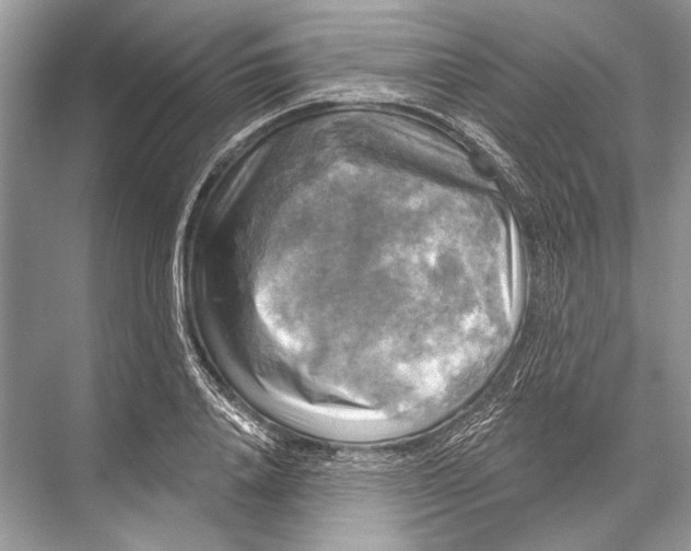 X0000067840840200605041647