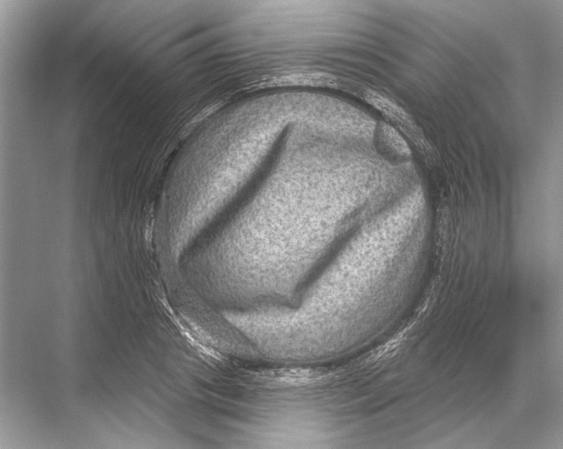 X0000067840841200605041647