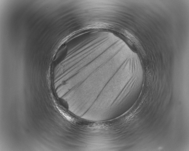 X0000067840842200605041647