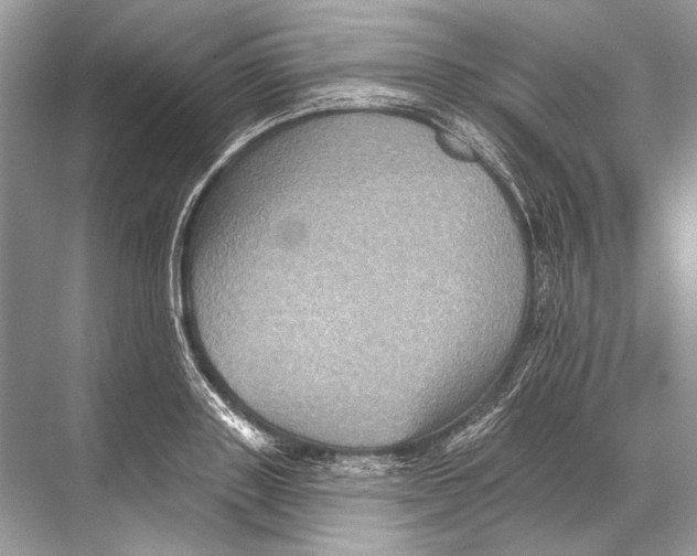 X0000067840843200605041647