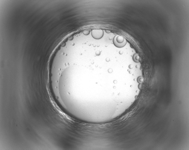 X0000067840844200605041647