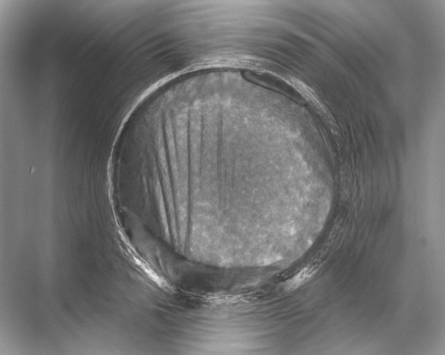 X0000067840846200605041647