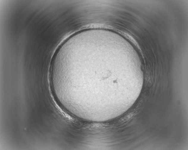 X0000067840847200605041647