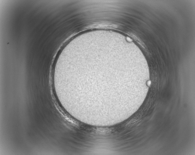 X0000067840848200605041647