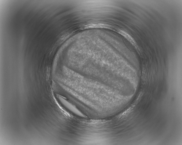 X0000067840849200605041647