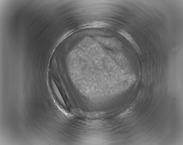 X0000067840850200605041647