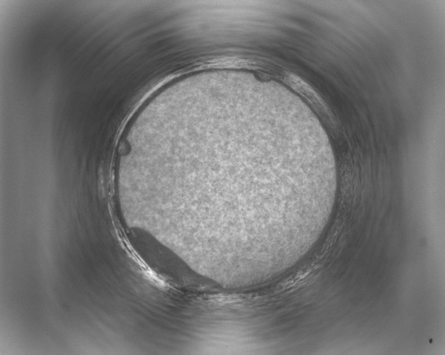 X0000067840852200605041647