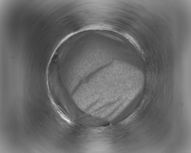 X0000067840854200605041647