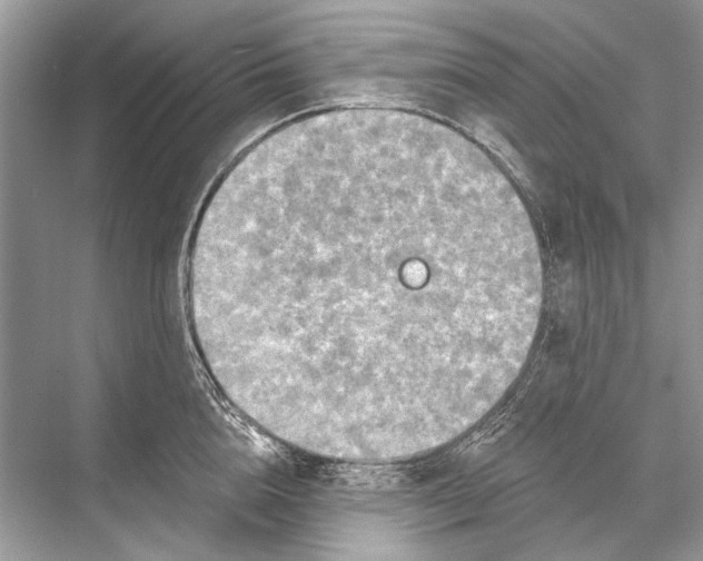 X0000067840856200605041647