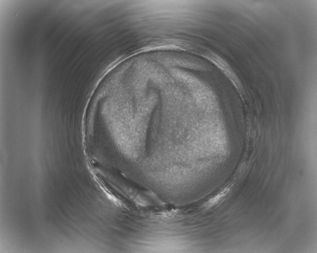 X0000067840858200605041647