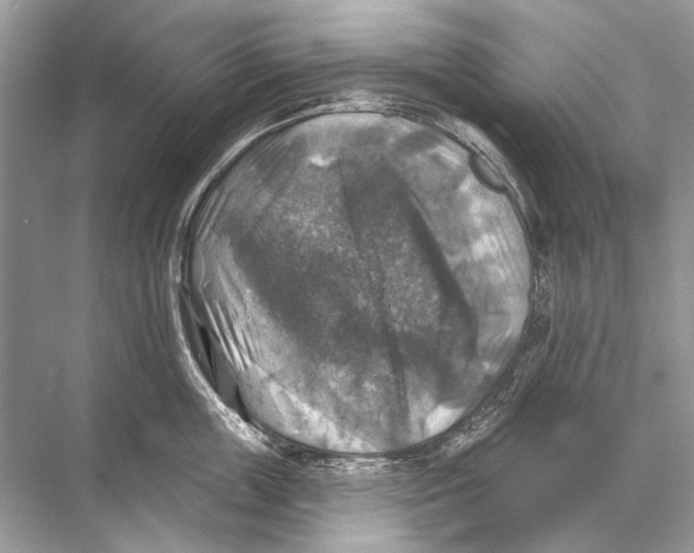 X0000067840859200605041647