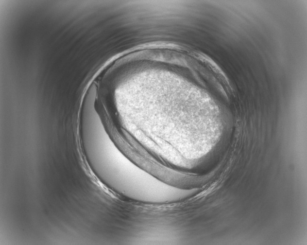 X0000067840860200605041647