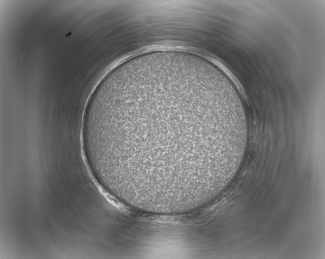 X0000067840861200605041647