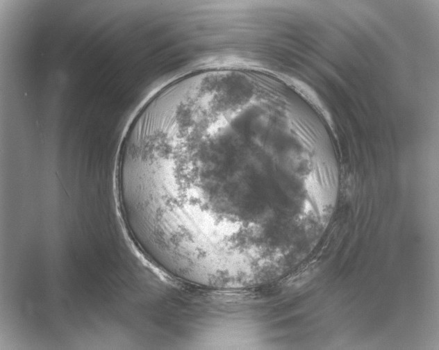 X0000067840863200605041647