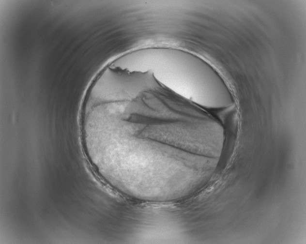 X0000067840864200605041647