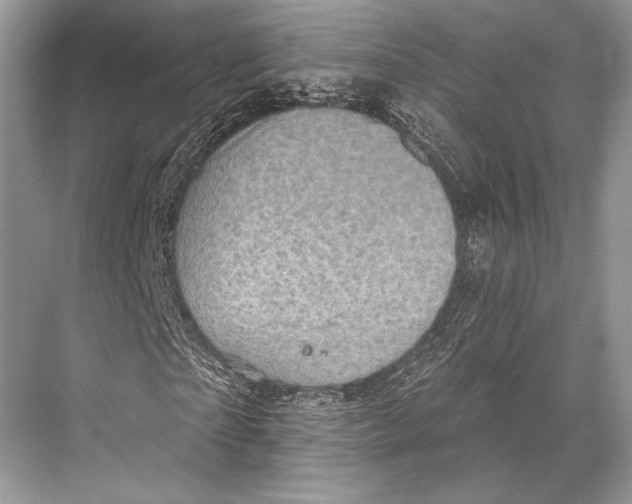 X0000067840865200605041647