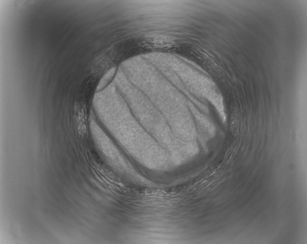 X0000067840866200605041647