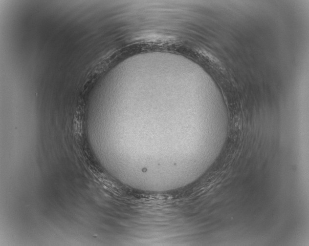 X0000067840869200605041647