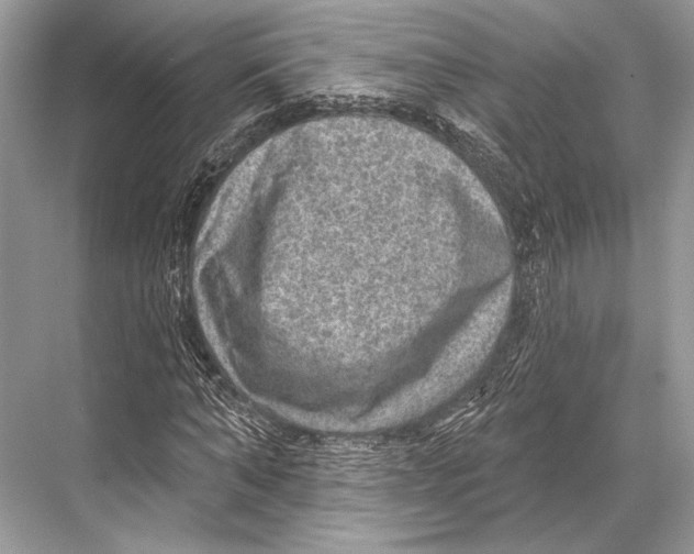 X0000067840870200605041647