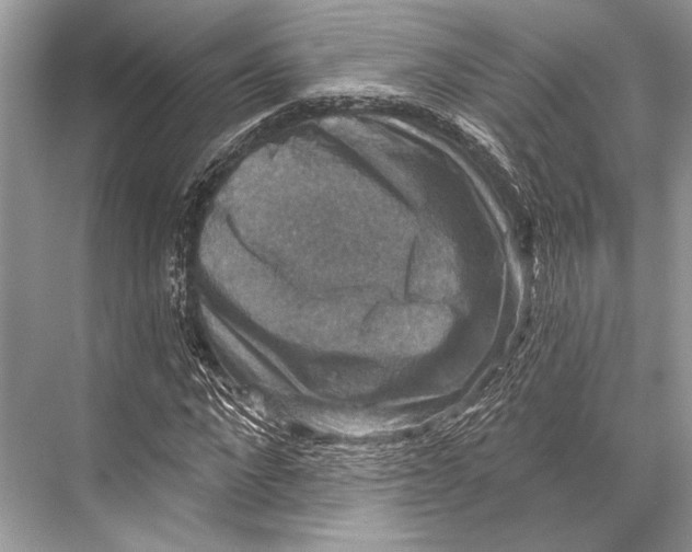 X0000067840872200605041647