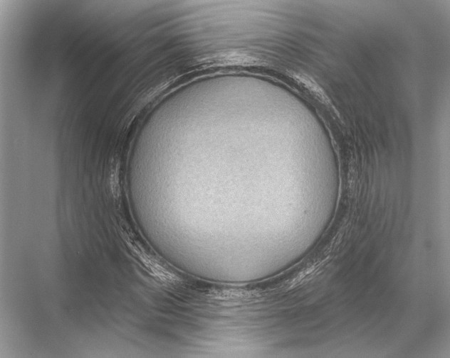 X0000067840873200605041647